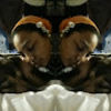 kaylah_parks
